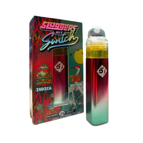 Sluggers Hit Switch 2G